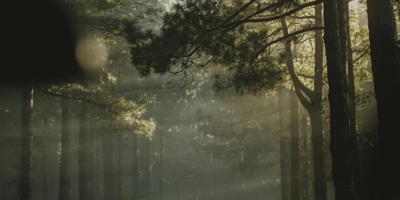 Onboarding Is No Joke!